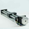 Binario di guida lineare con vite a ricircolo di sfere a doppio albero 4 Double Shaft Ball Screw Linear Guide Rail3