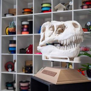 AzureFilm trgovina 17 P1388152